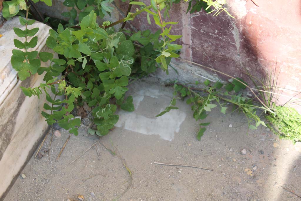 V.7 Herculaneum, March 2014. Detail from near lararium and north wall.
Foto Annette Haug, ERC Grant 681269 DÉCOR.